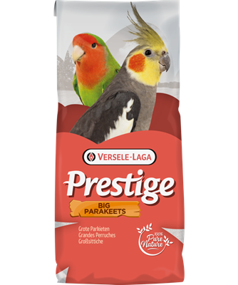 Miscela semi Versele-Laga Prestige 22 kg per parrocchetti grandi (20 kg + 2 kg omaggio) Miscela semi Versele-Laga Prestige 22 kg per parrocchetti grandi (20 kg + 2 kg omaggio)